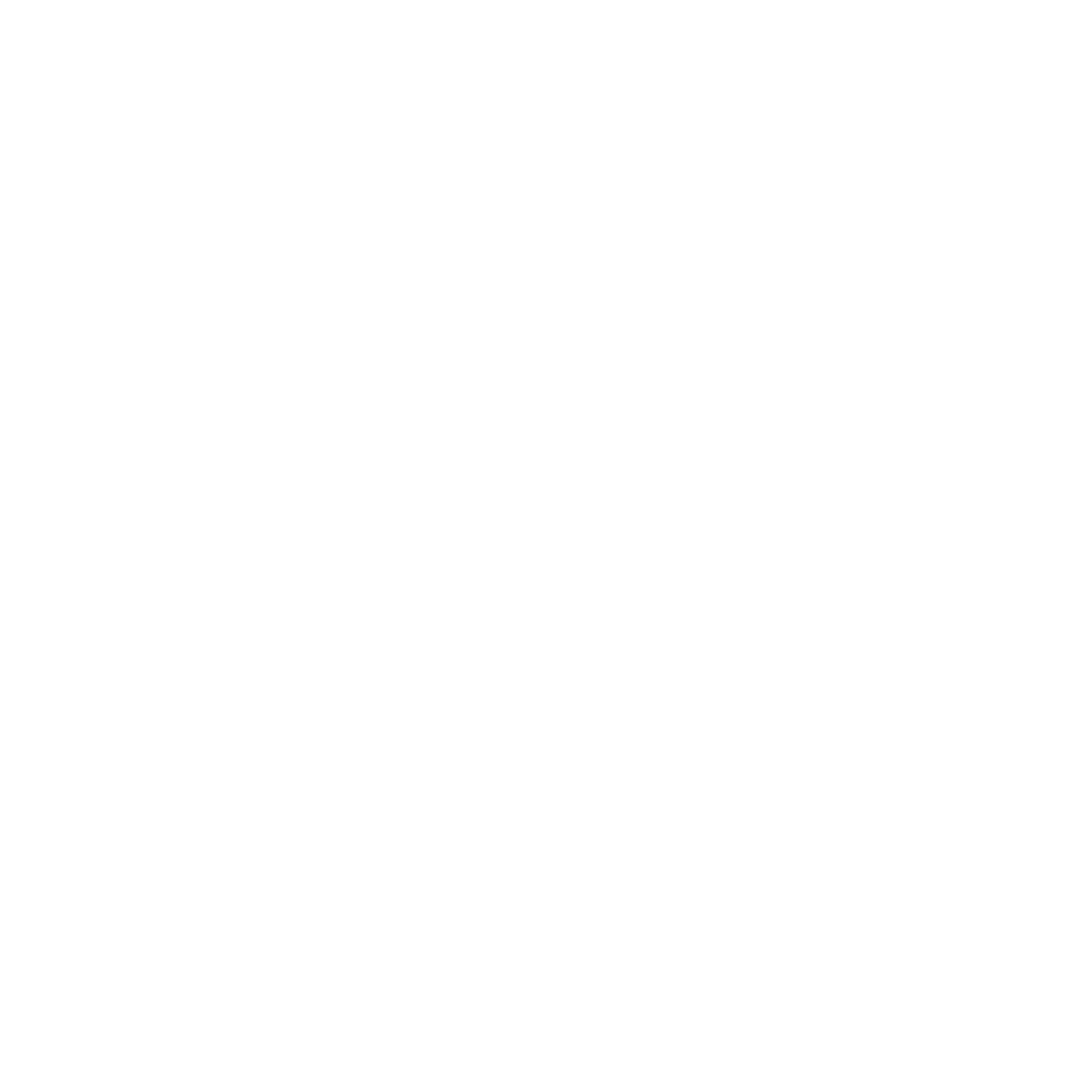 Mr H. Timmermans logo